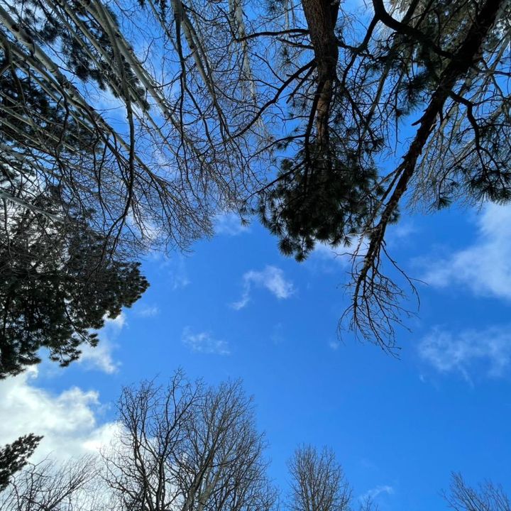 elevatephoto