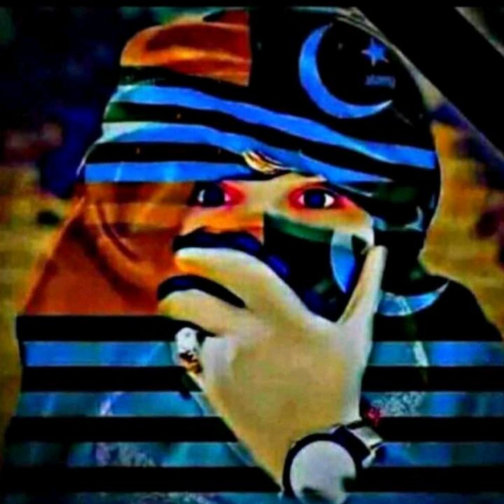 kashmiri.shazada7597