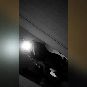 aischa.piegsa