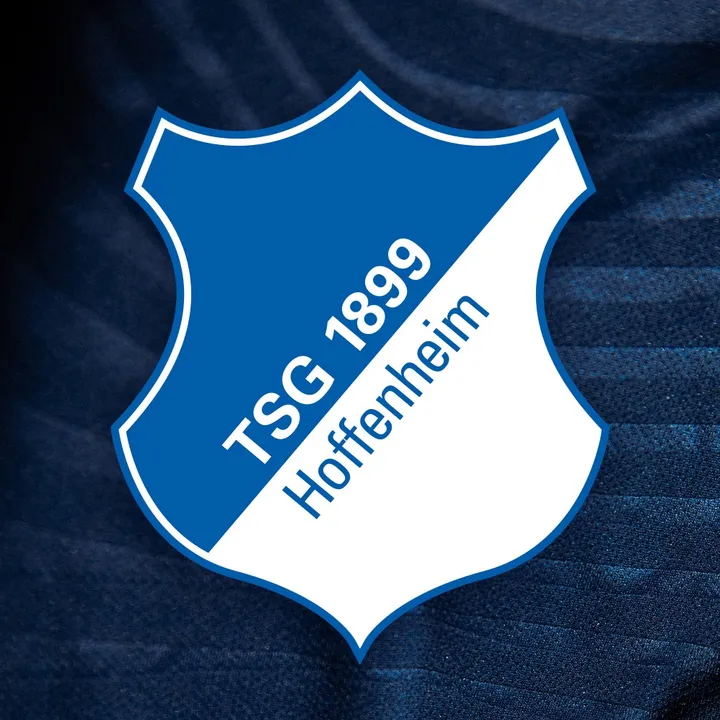 @tsghoffenheim
