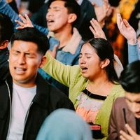 musico_elamordedios502