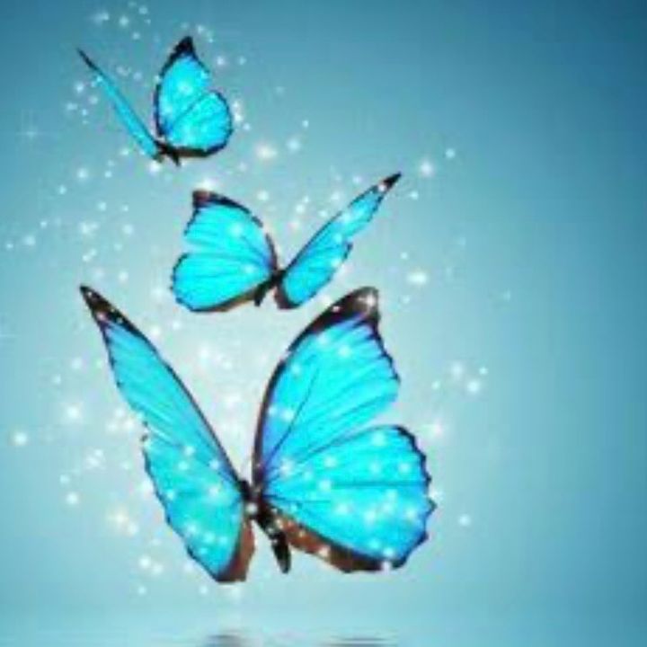 _kelebekmisali___