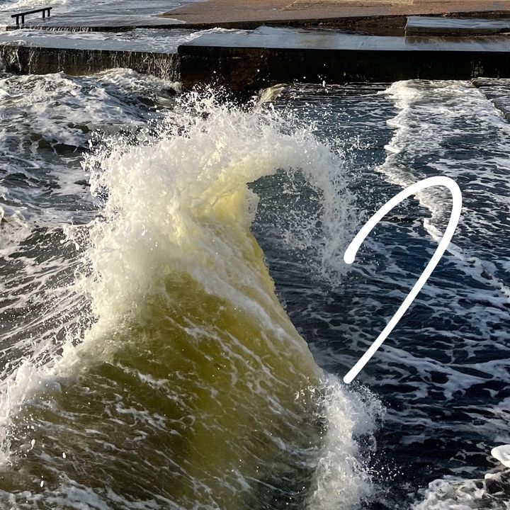 av_life_sea