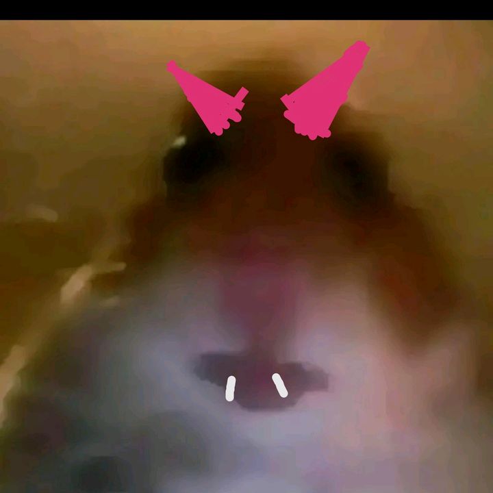 theyeet6782