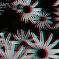 randomshiz160