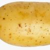 mrpoopybuthole787