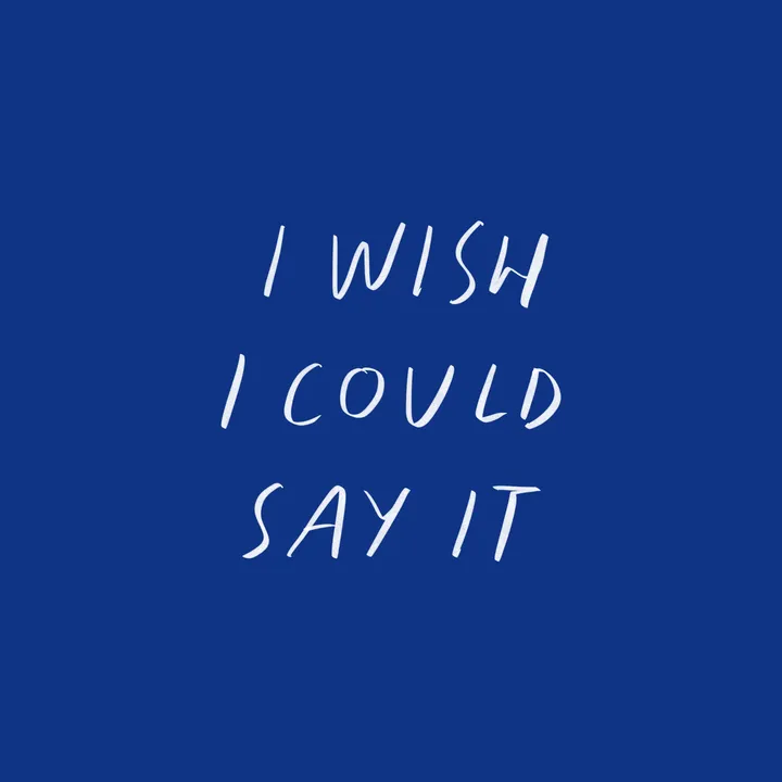 @somethingicouldntsay