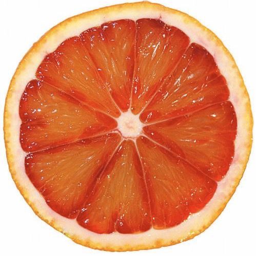 diebolus