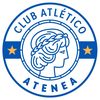 ateneavoley