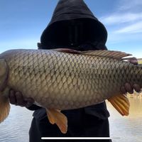 ryanbfishing312