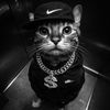 gang_cat8