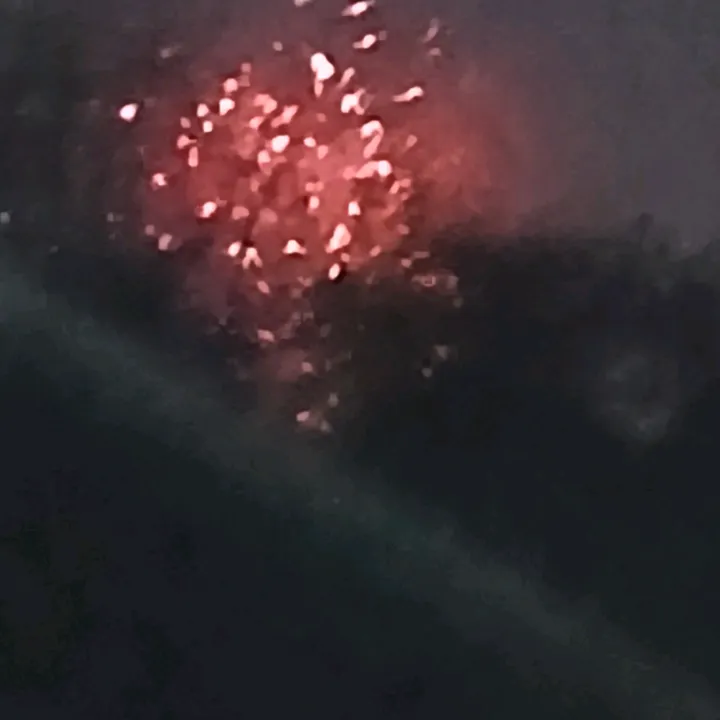 randomvids1571