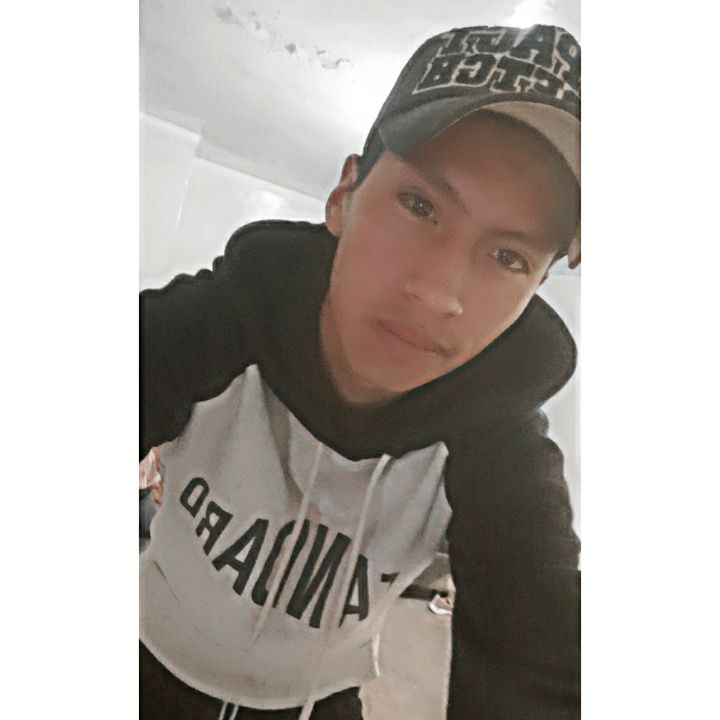 luis.fv20