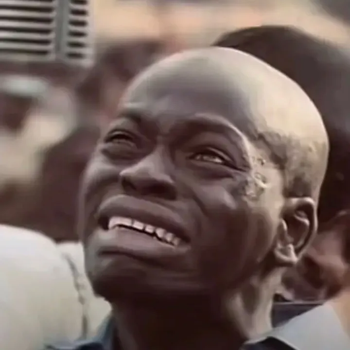 dassaparenti