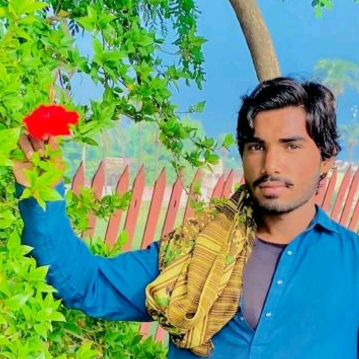 gujjar.shaheen