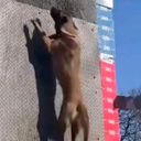 @romalinois