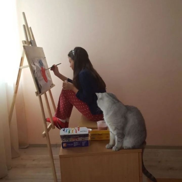 mshhwqq