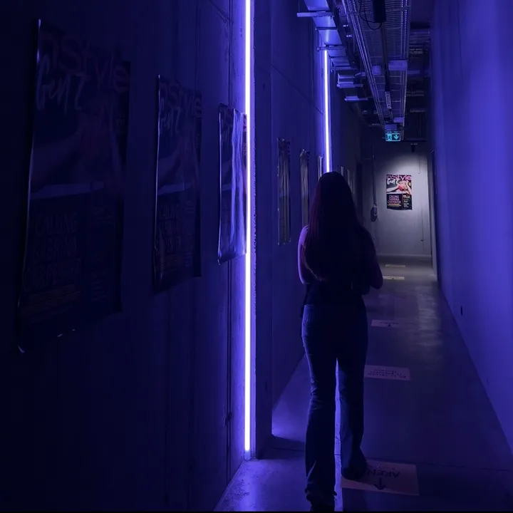 cxxxsi.2