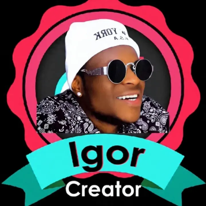 www.tiktokigorzablebi