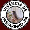 vivenci4depassarino2