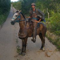 gideildoalvesvaqueiro