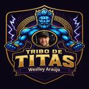 @weslley.araujo599