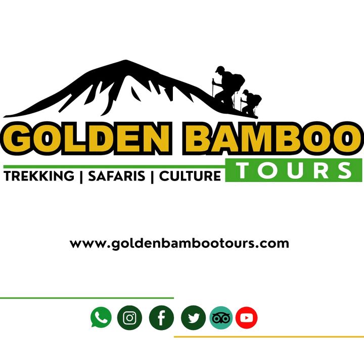 @goldenbambootours