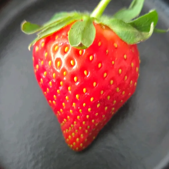 strawberry.ashiii