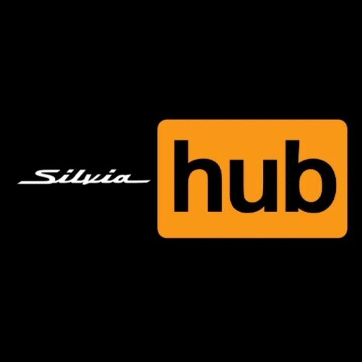 silvia.hub