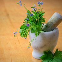 bien.etre.auquotidien