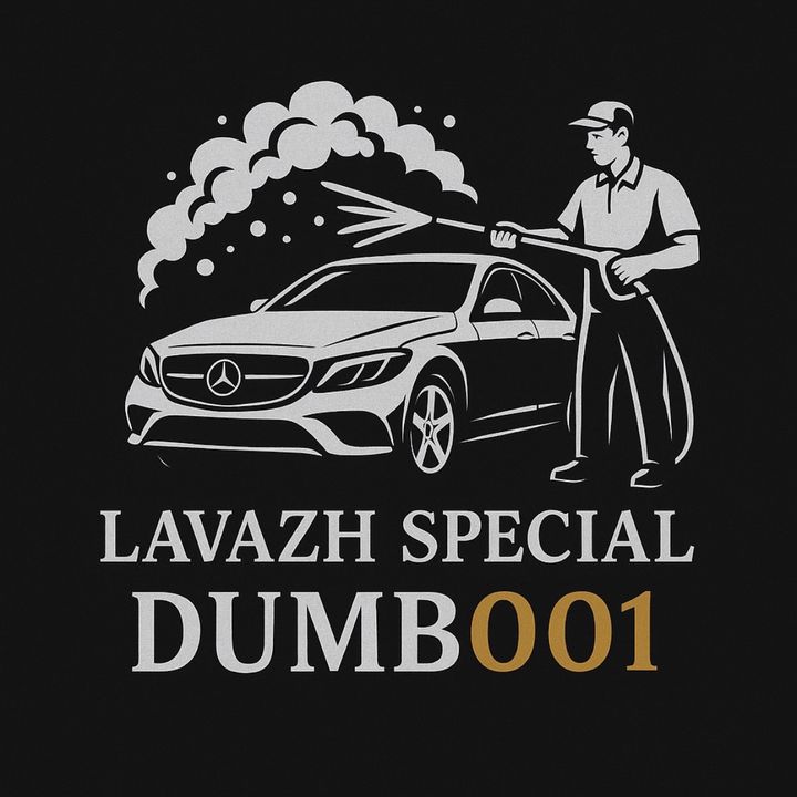 lavazh_dumb001