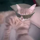 @ded0696