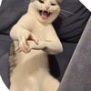 skiperiiii