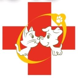 zootopiavets