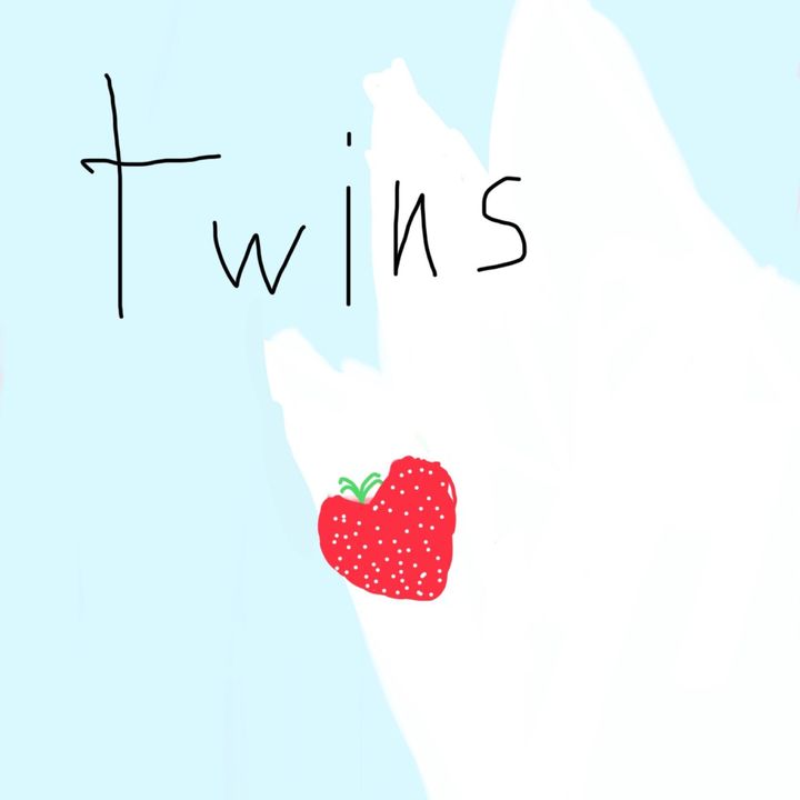 twinnies_adam.aer