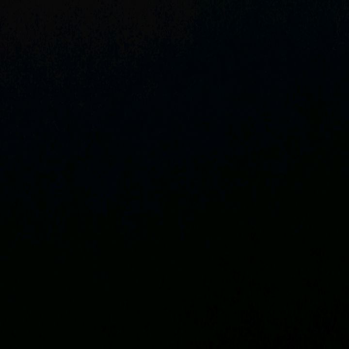 Erwin - suara asli