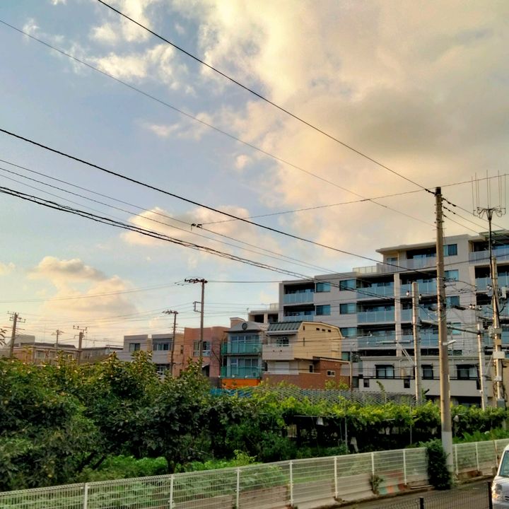 uta_meimei
