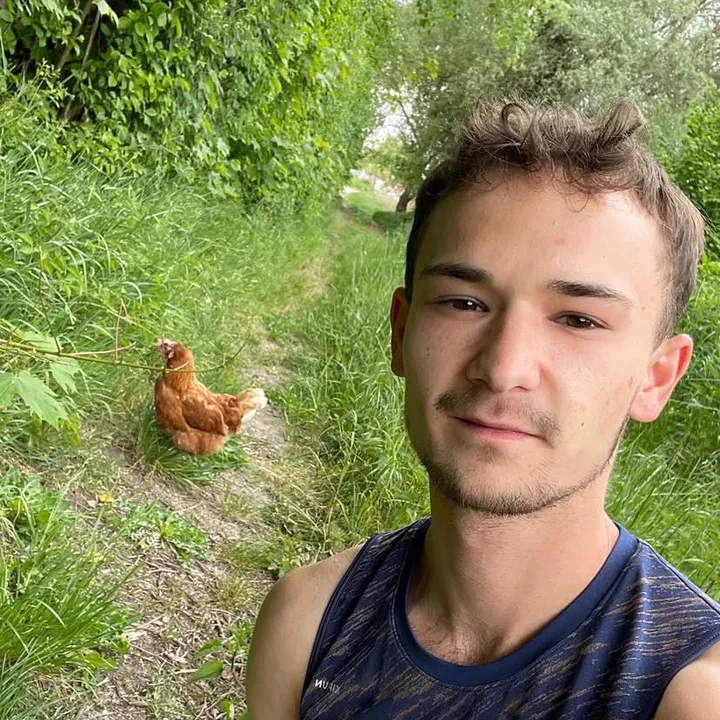 transbewusstgesund
