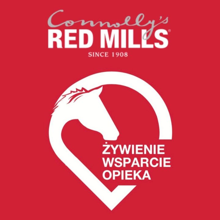 redmills.com.pl