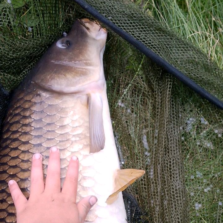 owain_tobi_fishing