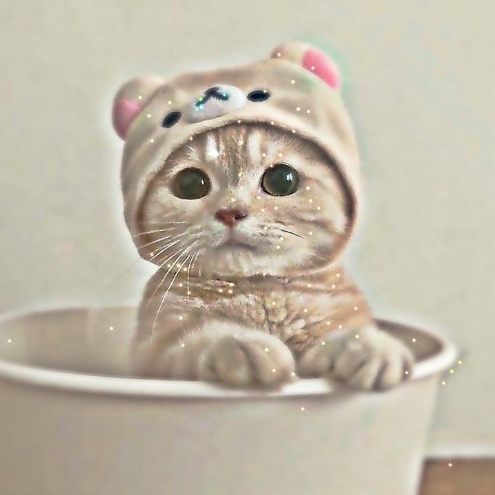 trinkyhelps
