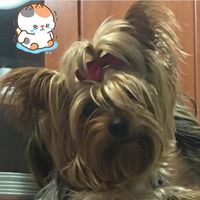 felizporquesi1