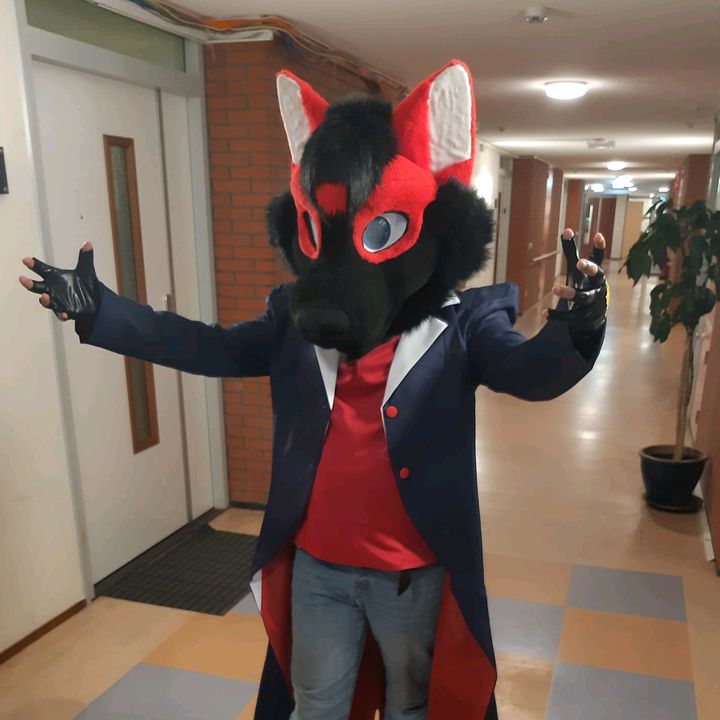 hikaji_the_husky