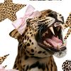 foxy_the_kitty15