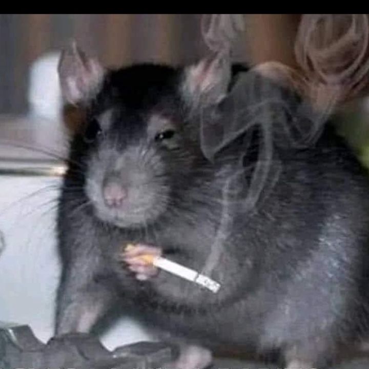 .paulo.666