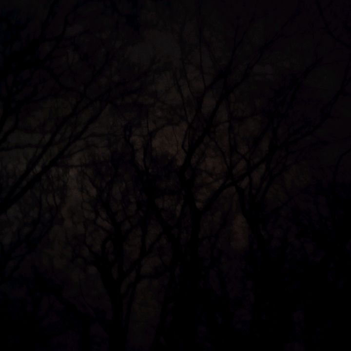 musicthatdeserveshype