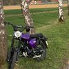 thepurple5gear