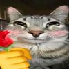 lilkit76