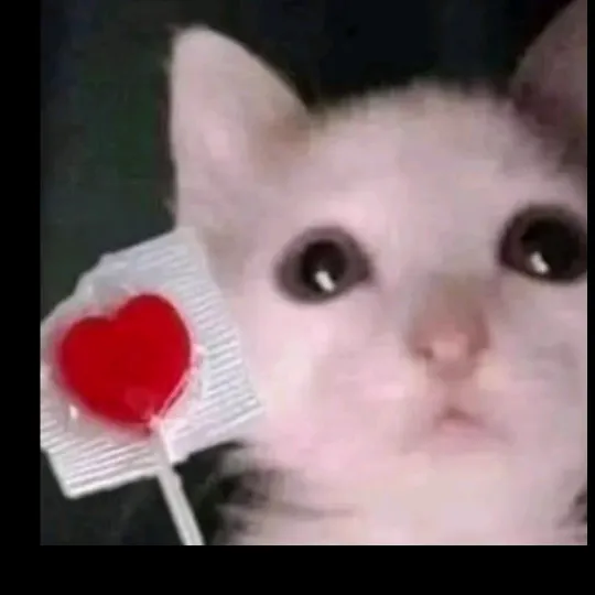 egonkowalski080