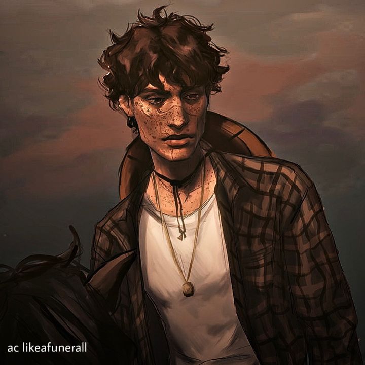 llupinsmoon